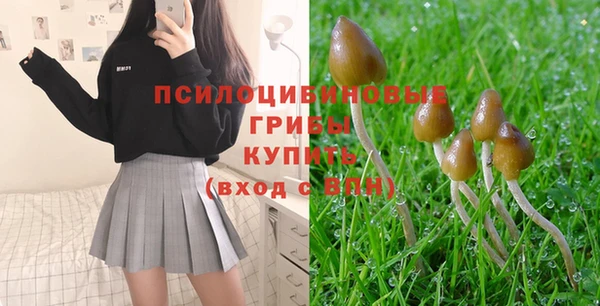 трава Верхний Тагил