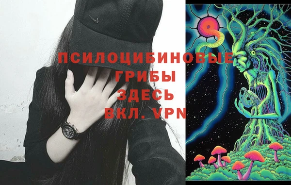 метадон Сатка