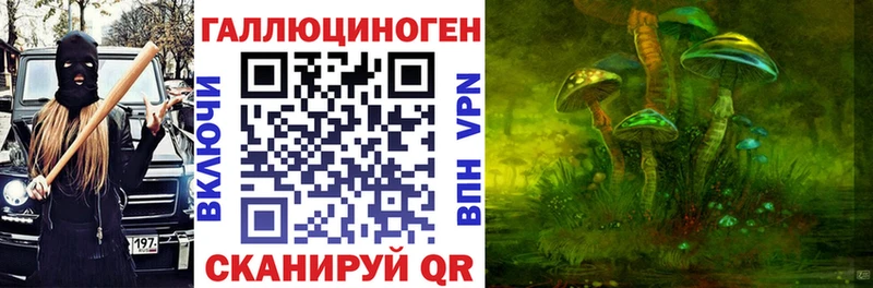 Купить где  Серафимович  Псилоцибиновые грибы GOLDEN TEACHER 